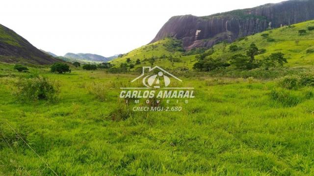 Fazenda à venda, , zona rural - carlos chagas/mg - Foto 16
