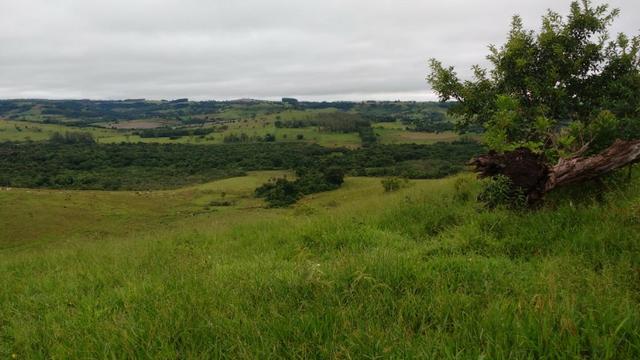 Otima fazenda com 73 alqueires na regiao de itapetininga - Foto 4