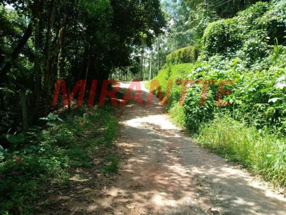 Terreno à venda em Serra da cantareira, São paulo cod:272464 - Foto 2