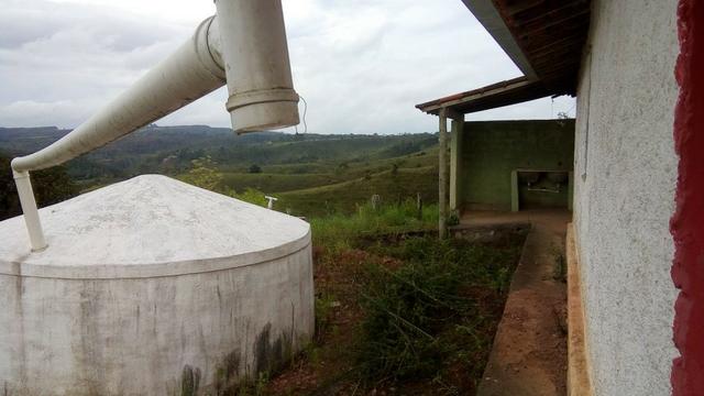 Fazenda 100000 m² - Foto 5