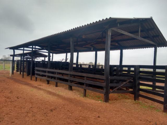 Fazenda 514 Hectares Grande Oportunidade - Poconé - MT - Foto 2