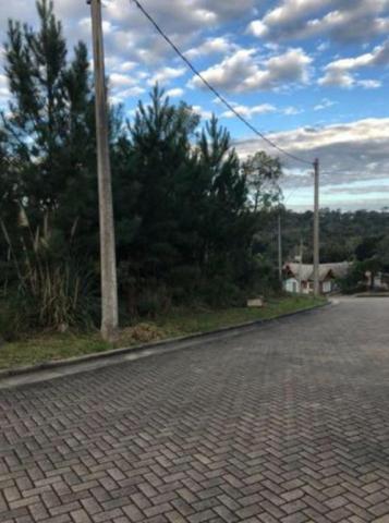 Terreno à venda, 487 m² por r$ 320.000,00 - vivendas do arvoredo - gramado/rs - Foto 4