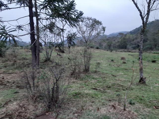 Chácara de 39 Alqueires. 18 de pasto - 26 km da Colônia Vitória . Guarapuava PR - Foto 17