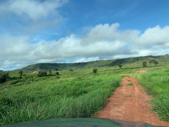 Vendo Fazenda de Gado em Grajaú - Foto 5