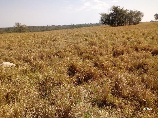 Fazenda 1.456 hectares para Pecuária apos a Guia há 66 km de Cuiabá - Foto 17
