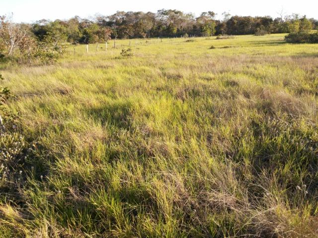 245 Ha Pecuaria Piscicultura Lazer Beira Rio Proximo Cuiaba Santo Antonio MT