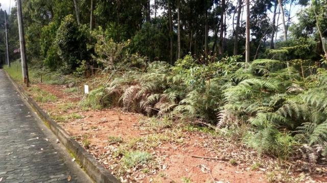 Lote com 1905m² no condomínio villagio verdi em domingos martins - Foto 6