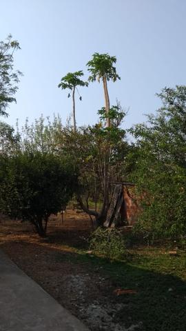 Chácara em (barão de melgaço a venda ) - Foto 5