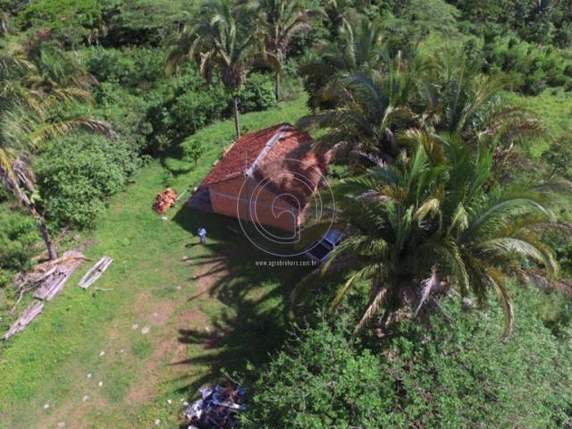 Chacara região da serra de são vicente - Foto 3