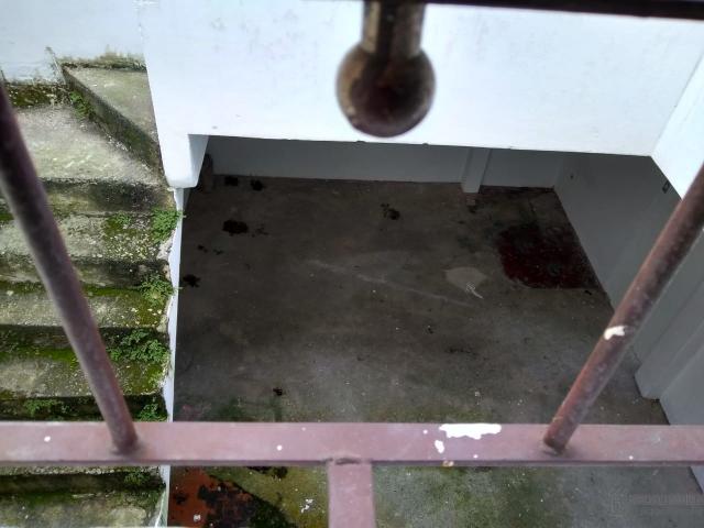 Casa Diadema Canhema - Foto 15
