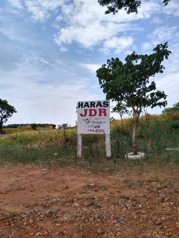 Sitio á venda em Fernandópolis - Foto 10