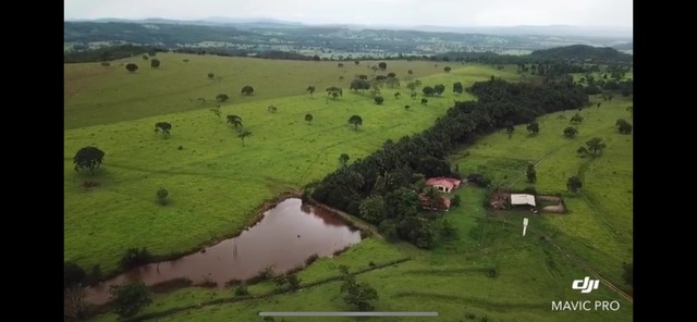 Fazenda 67 Alqueires em Santa Isabel-Go 