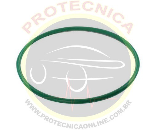 Guarnição da Flange - DS1459
