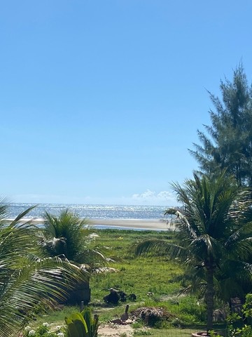 Flats e Bangalôs à Beira Mar de Japaratinga - Foto 8