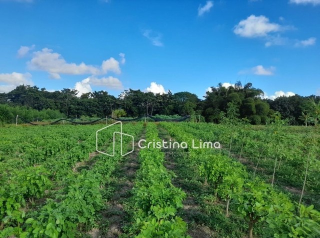 SITIO AUTO SUSTENTÁVEL - SALGADO