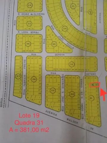 Lote Chão de Estrela