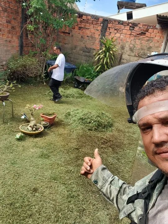 Jardinagem em geral  - Foto 2