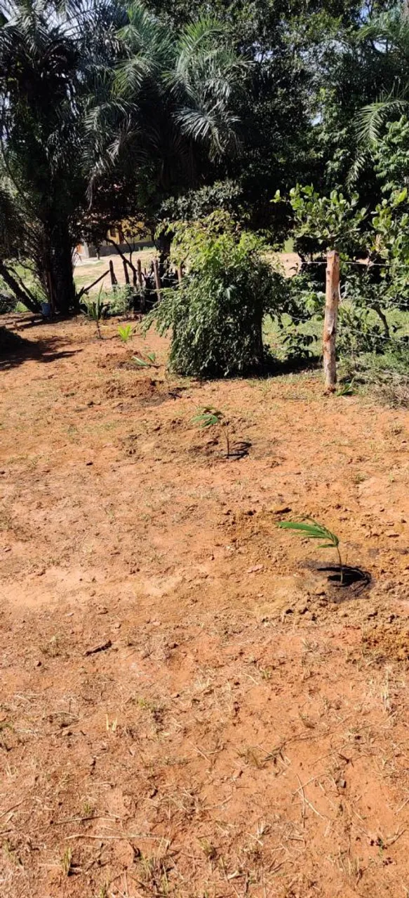 Vendo Terreno na Ilha de Boipeba próximo à Vila - Excelente localização!