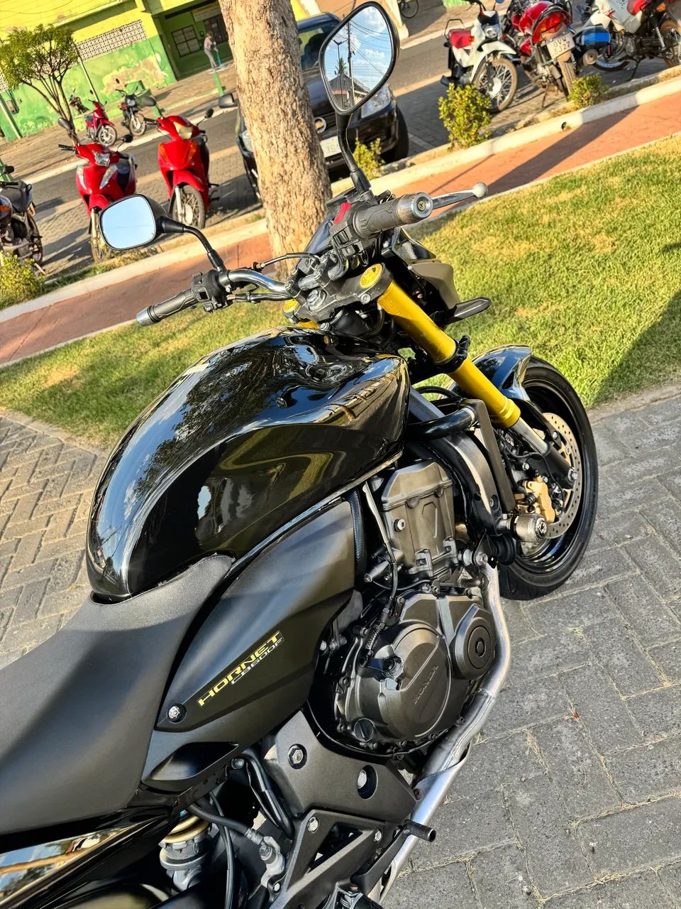 Hornet 600f  - Foto 4