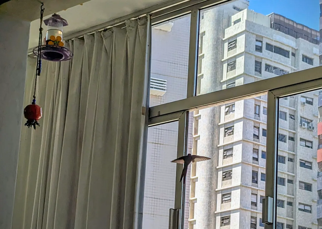 Apartamento mobiliado com 2 quartos e 2 banheiros em Petrópolis - Ed. Presidente Kennedy