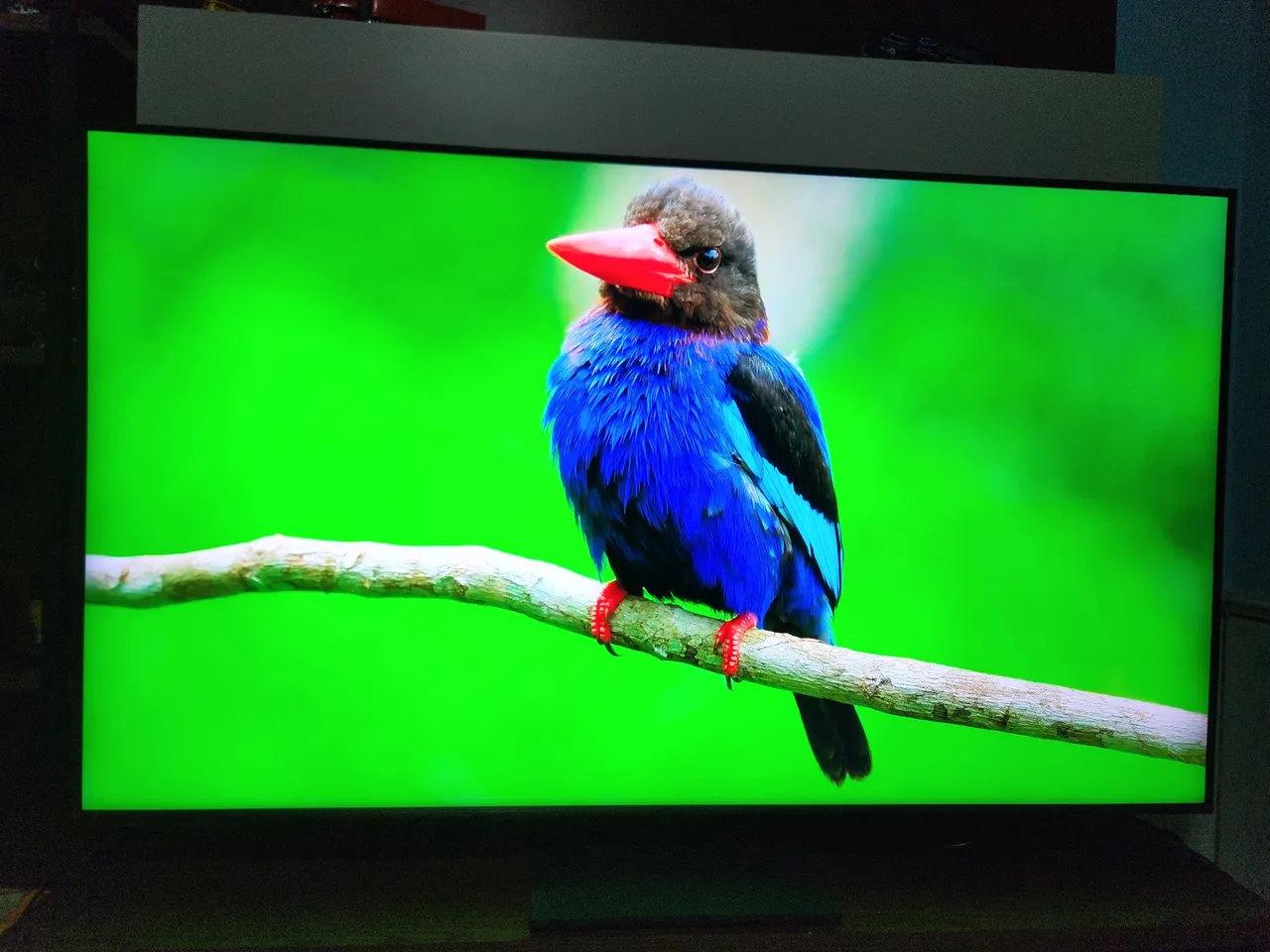 TV 4K Imagens Vibrantes - Qualidade Superior