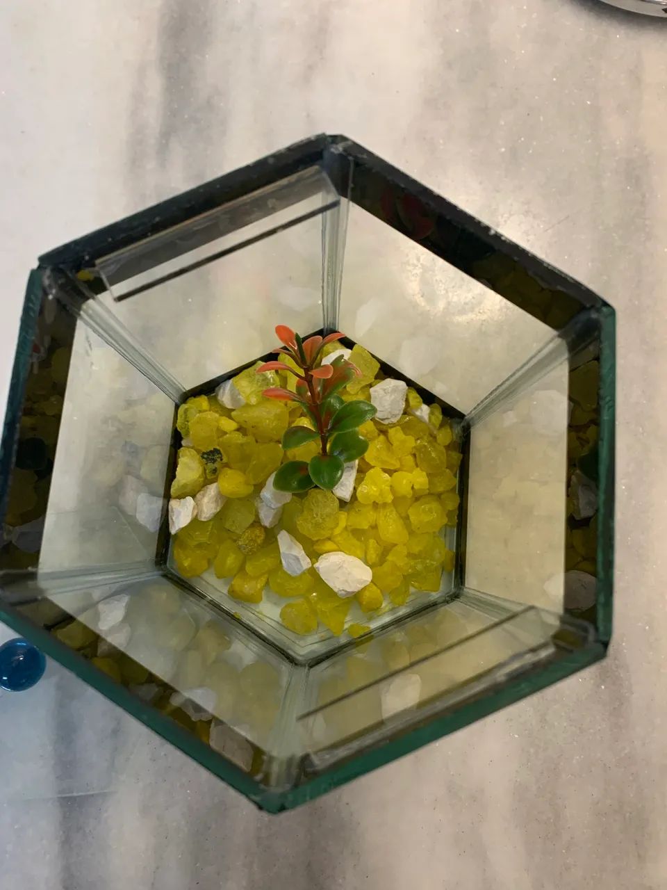 Aquário para peixe Betta - Sextavada - Foto 4