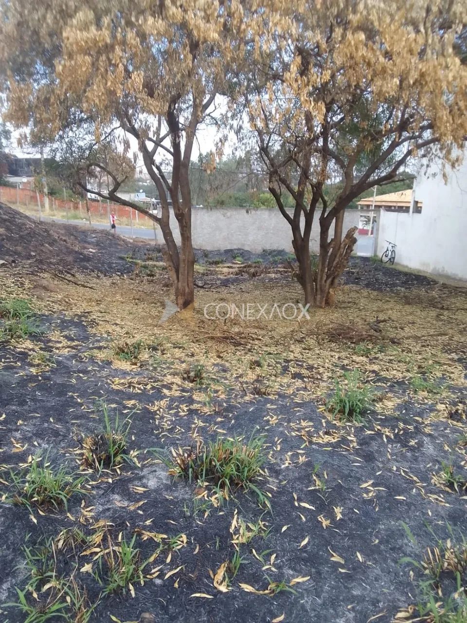 terreno - Cidade Satélite Íris - Campinas - Foto 2