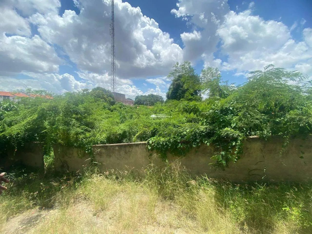 R.CANADÁ - BAIRRO: CIDADE NOVA - Foto 3