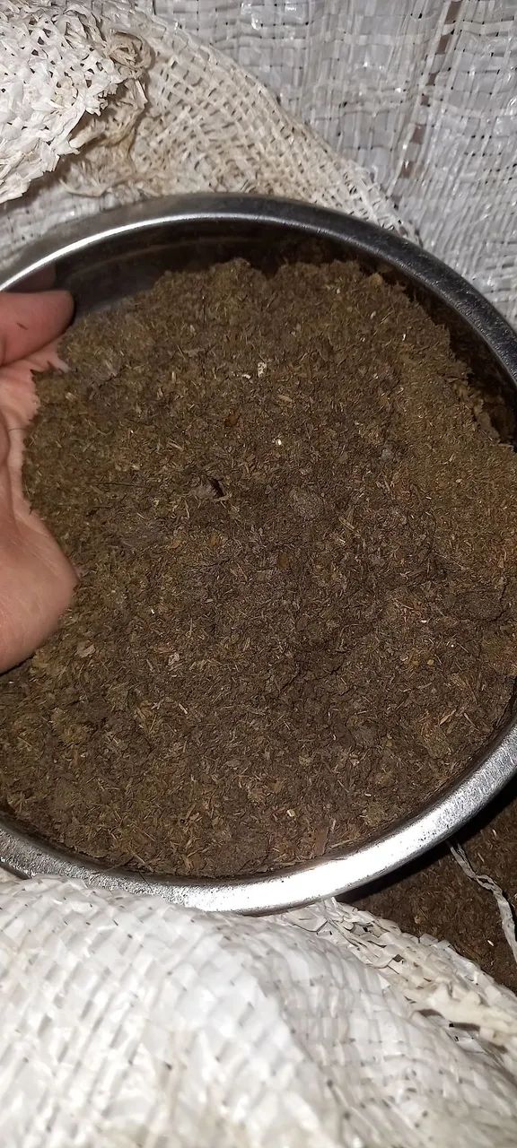 Esterco de Gado Puro Pacote de 10 kg - Foto 4