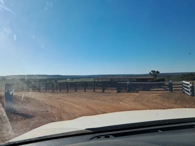 Fazenda em Mato Grosso  - Foto 5