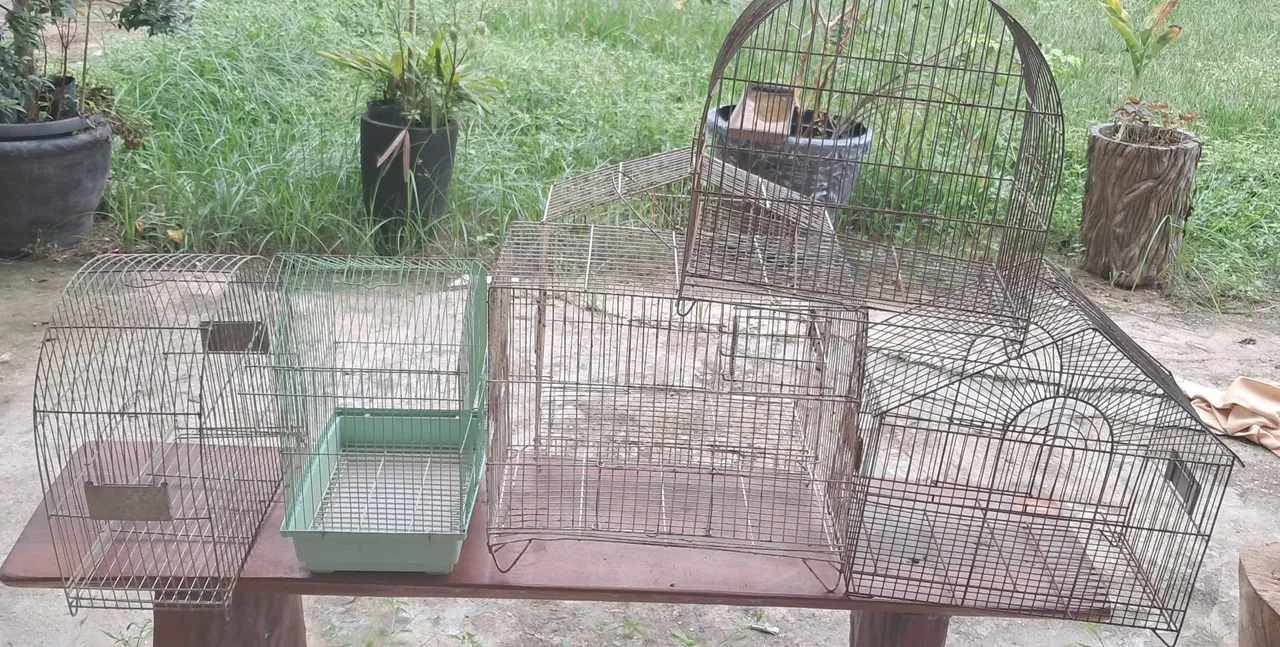 Gaiolas para pássaros