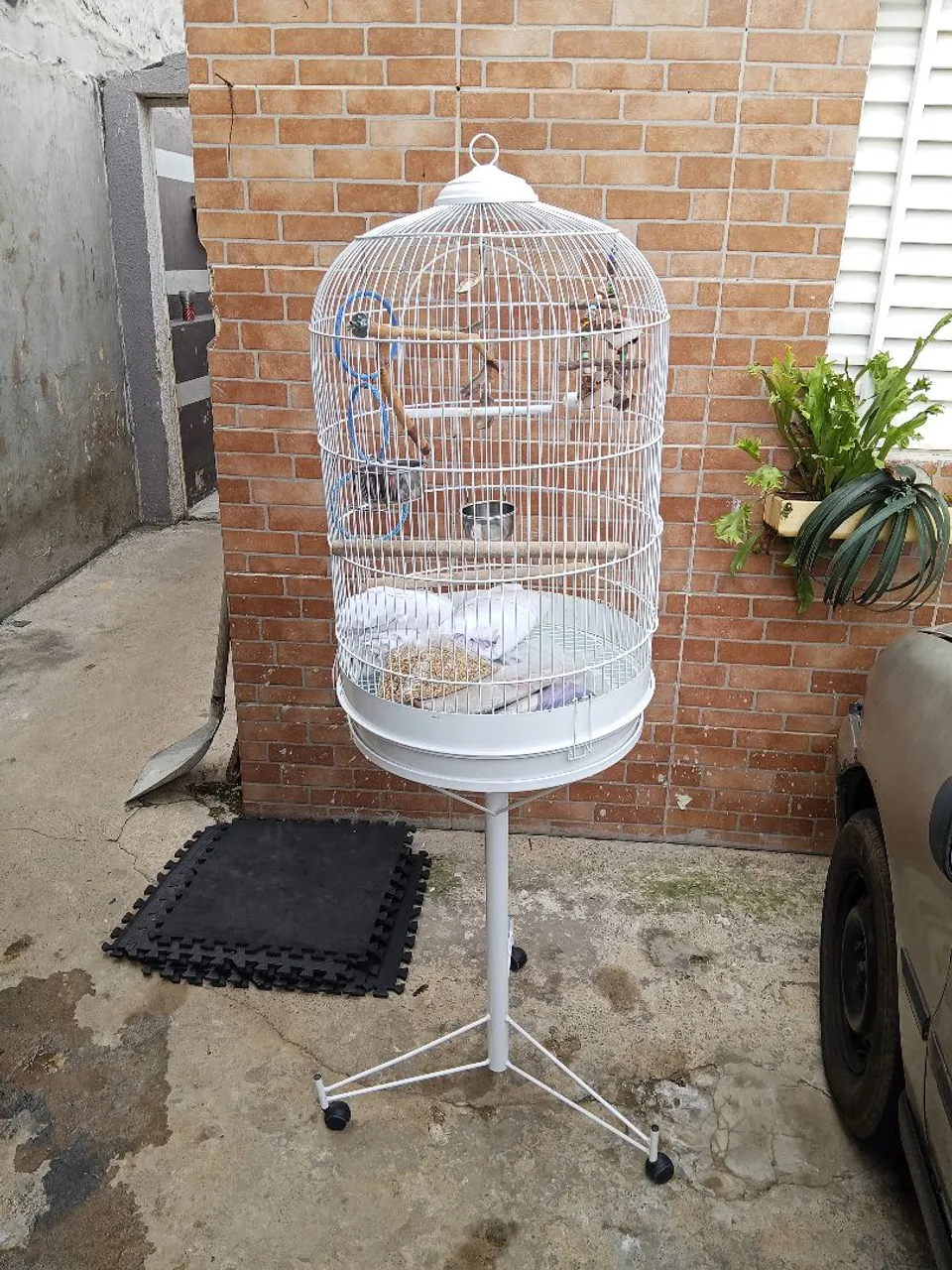 Gaiola para pássaros completa