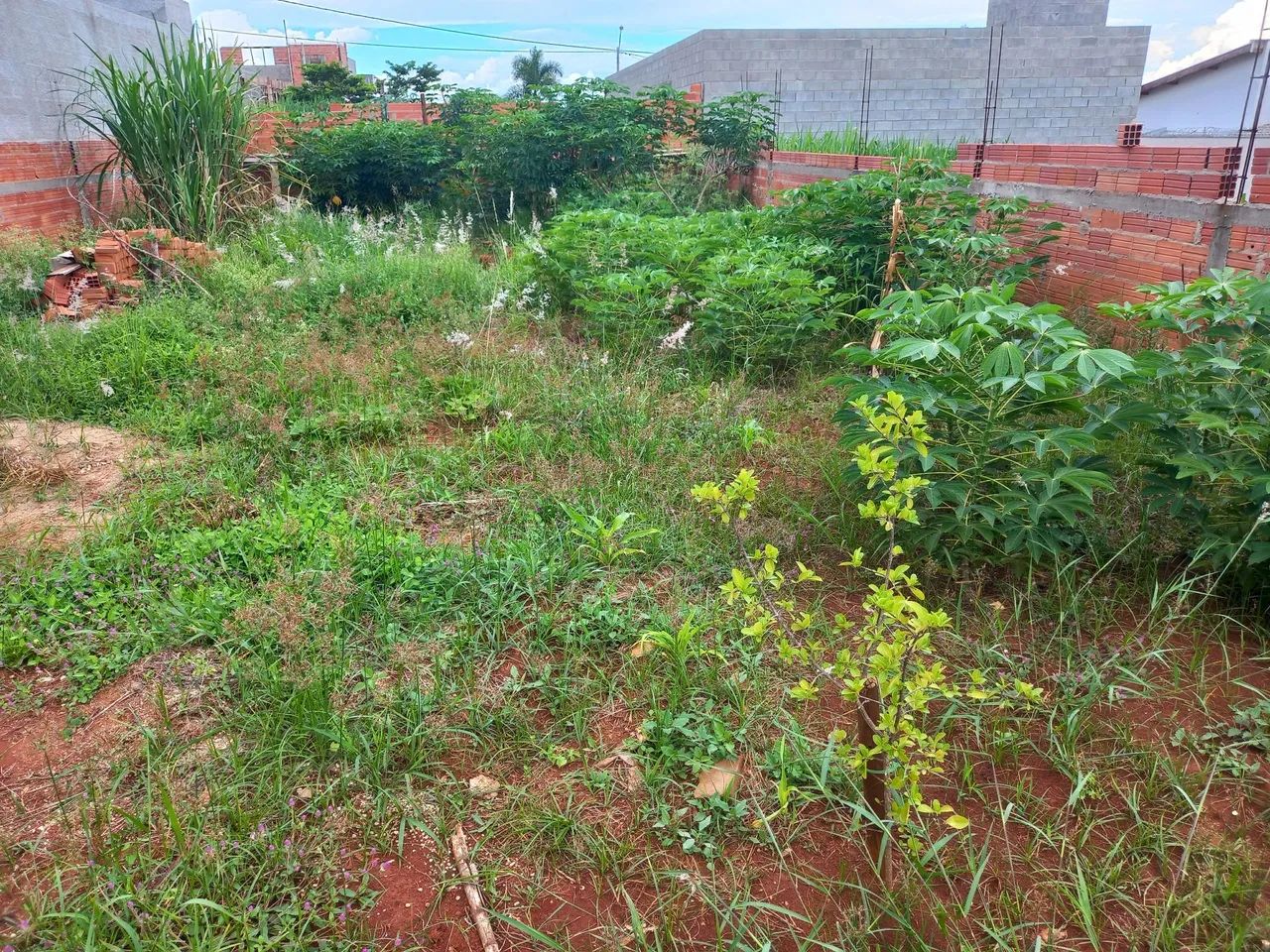Foto - Nova Odessa - Jardim Santa Rita I
