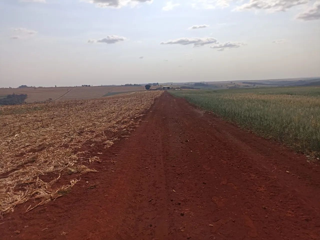 Fazendinha 78 alqueiro  - Foto 2