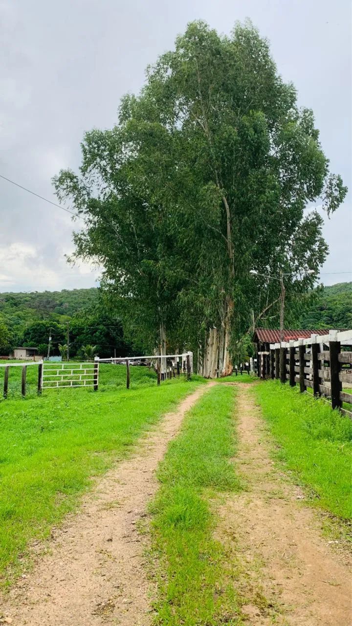 Fazenda a venda no município de URUAÇU Goiás  - Foto 7