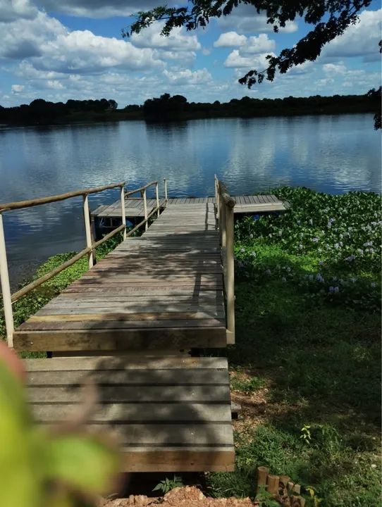 Sítio com pomar e área verde - Foto 3