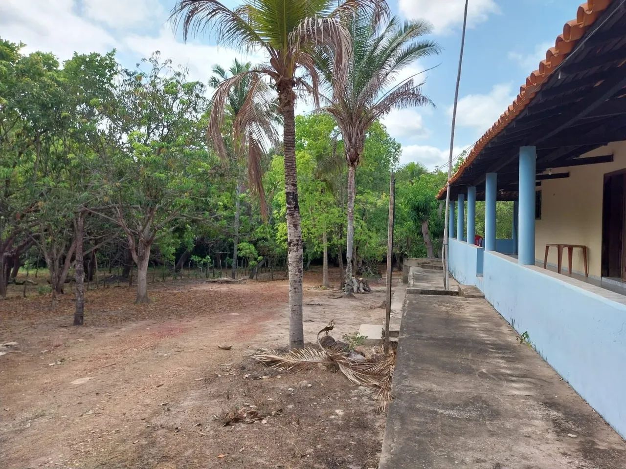 Sítio com piscina em área verde - Foto 2