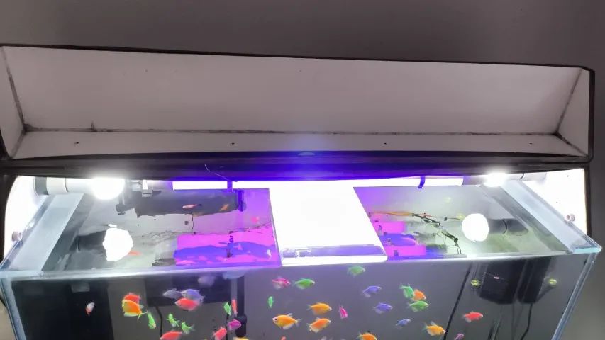 Aquário de 217 litros: 97 cm x 32 cm x 70 cm - Foto 3