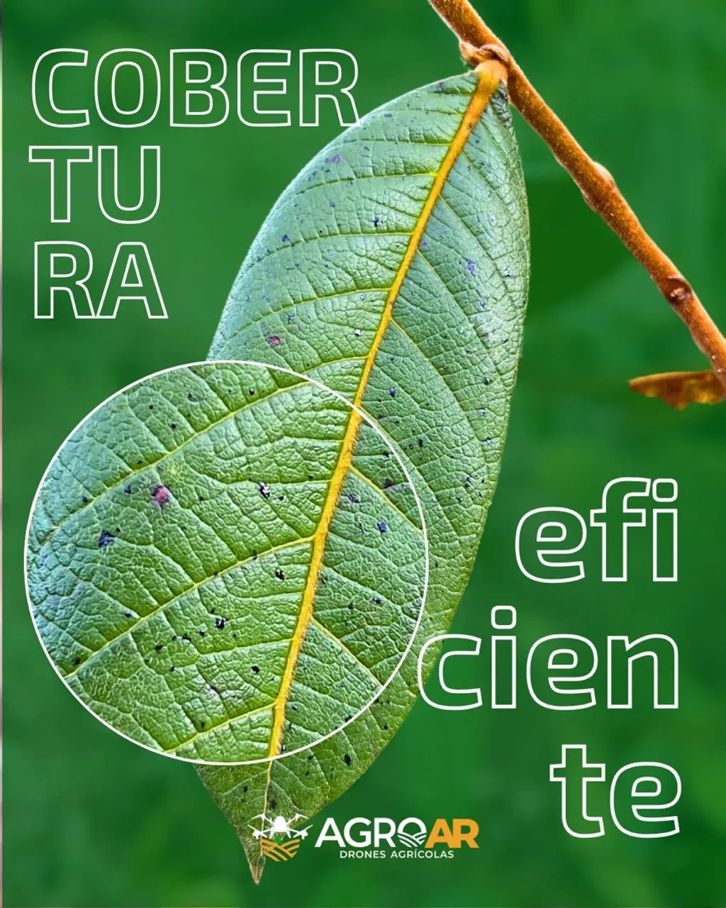 PULVERIZAÇÃO COM DRONES AGRÍCOLAS-TO/MA/BA/PI/PA - Foto 3