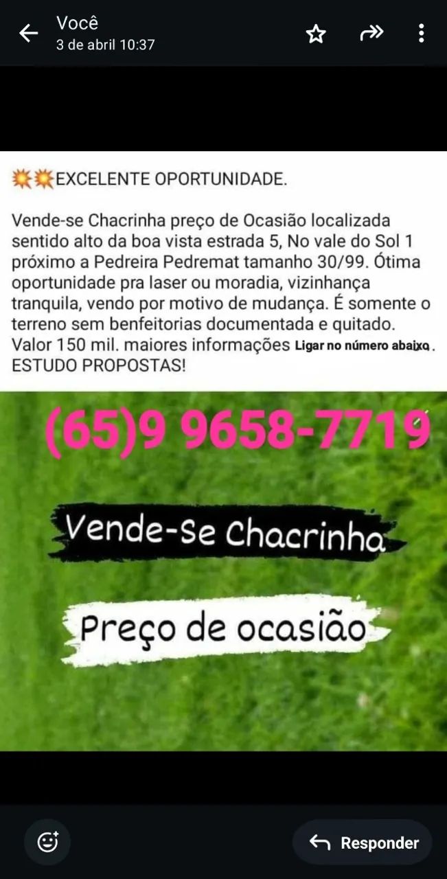 Terreno  - Foto 4