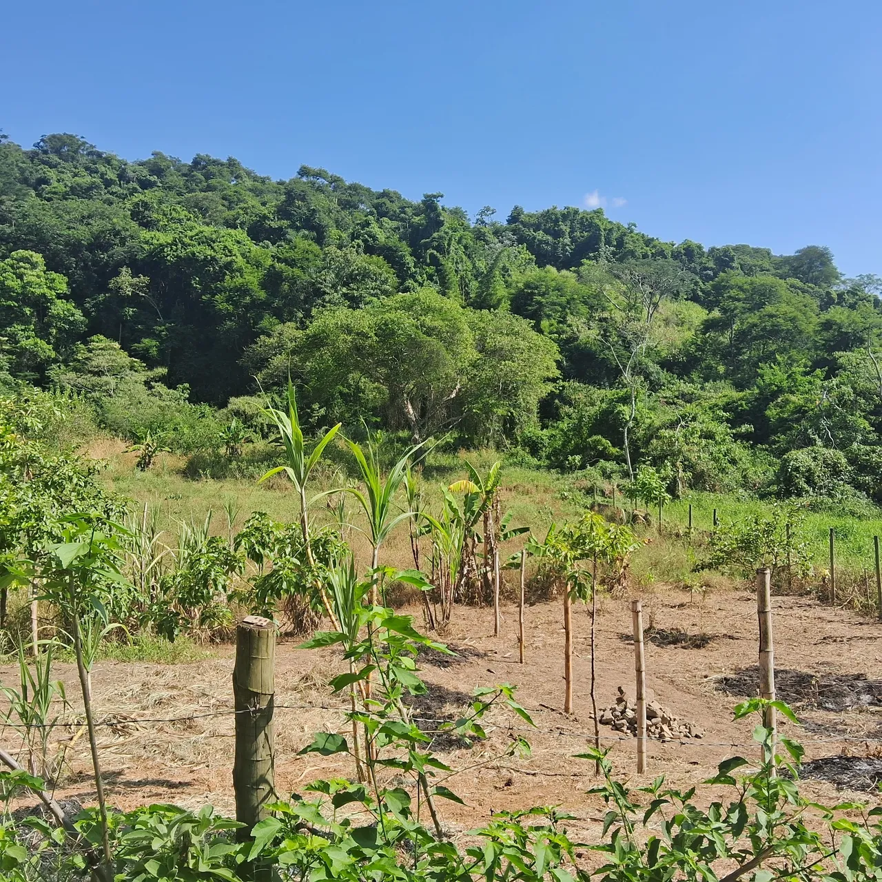 Terreno área rural em Pinheiral