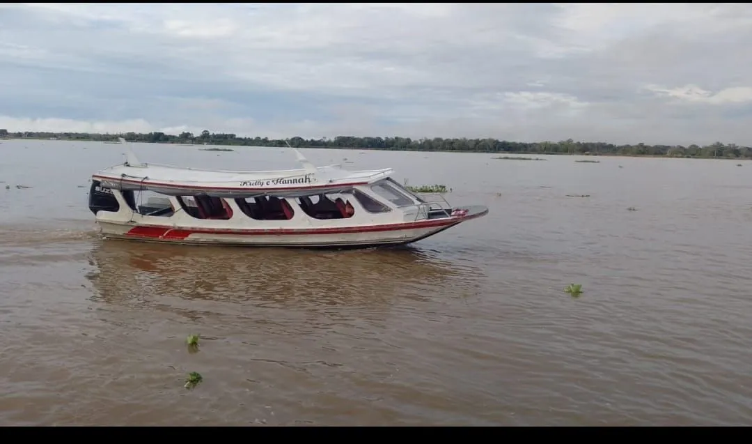 Lancha 15 passageiros Motor SUZUKI 150HP
