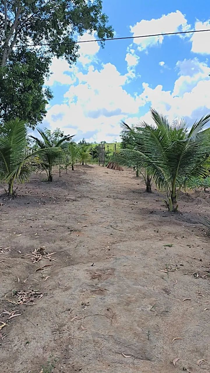 Vendo Chácara em Cajueiro Terrenos, sítios e fazendas Pajuçara