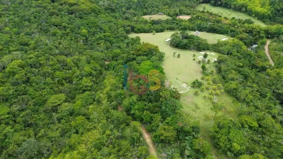 Excelente Sítio em Serra Grande com Cachoeira - Foto 4