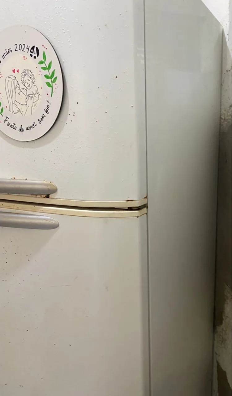 Geladeira frost free