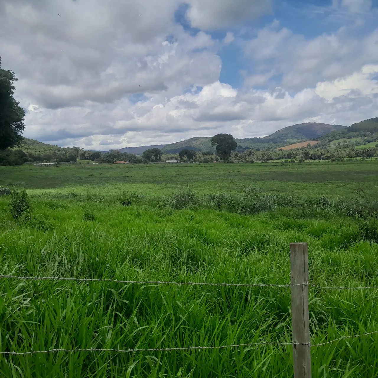 Chacaras em serra azul Mateus leme  - Foto 4