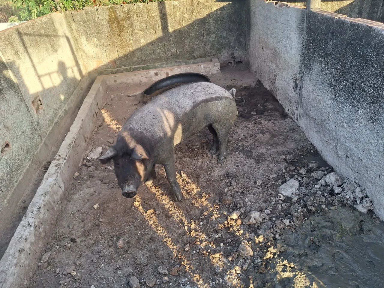 Vende-se um barráo  - Foto 2