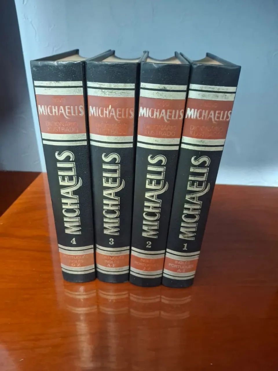 DICIONARIO ILUSTRADO MICHAELIS