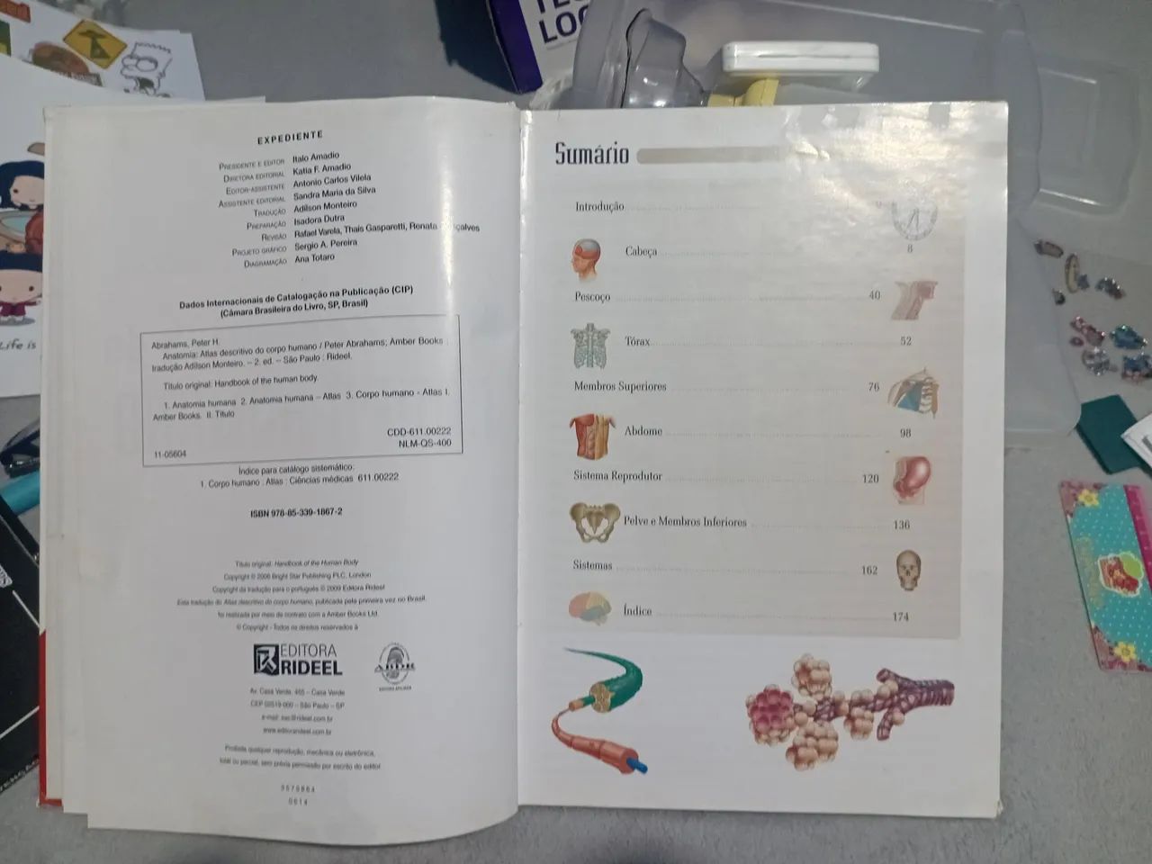 Livro de anatomia  - Foto 3