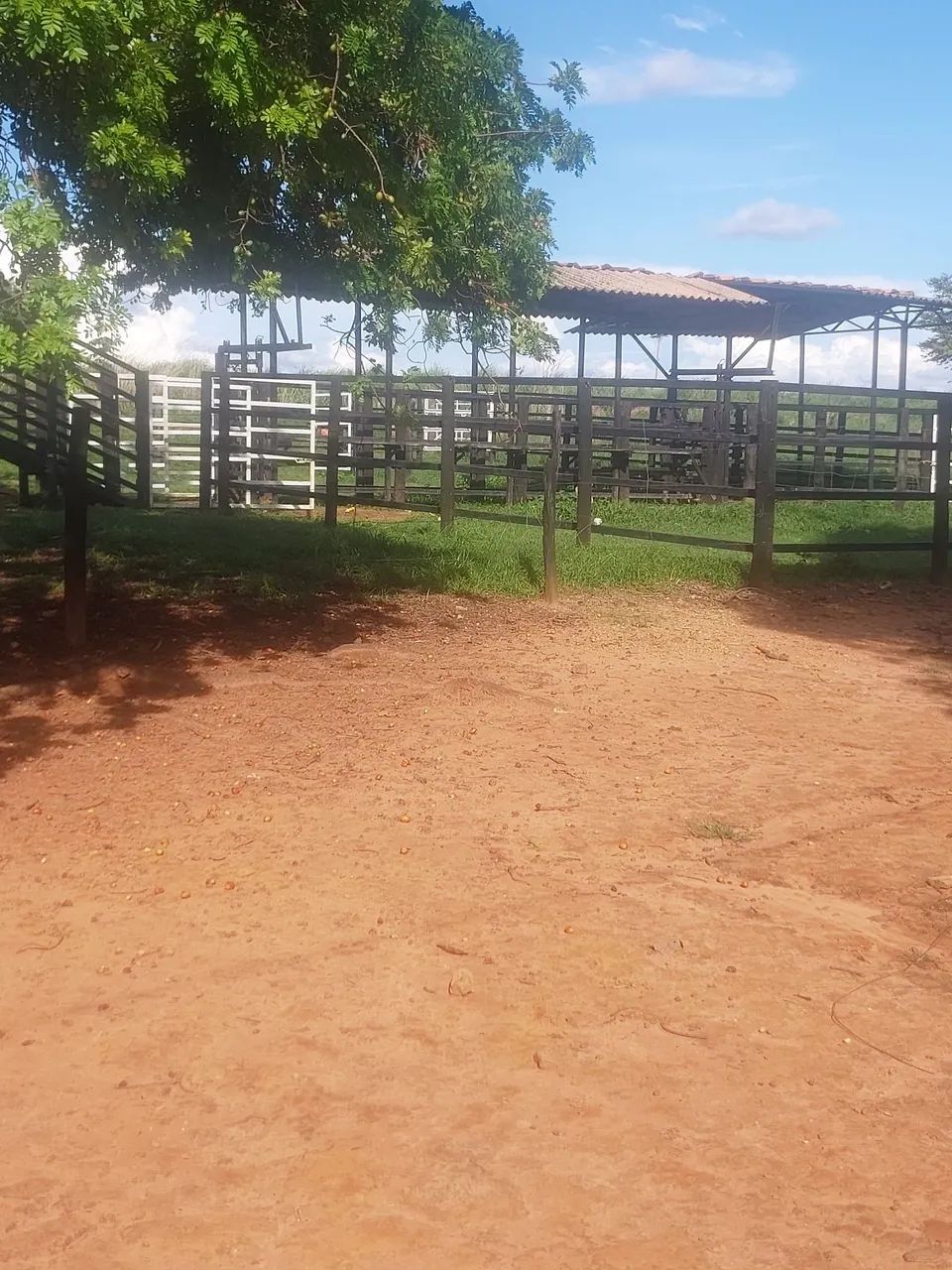 Vende se  - Foto 2